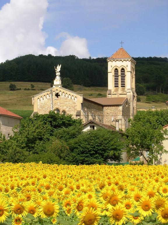 Saint-Michel-sur-Savasse Chambre D'Hotes Tardy מראה חיצוני תמונה